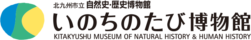 北九州市立自然史・歴史博物館　いのちのたび博物館