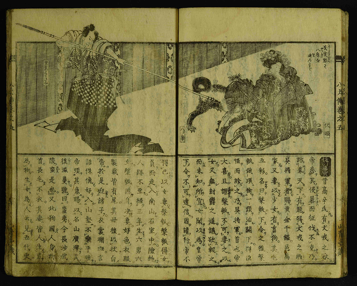 『南総里見八犬伝　巻５』（九州大学中央図書館蔵）